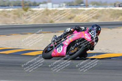 media/Feb-04-2023-SoCal Trackdays (Sat) [[8a776bf2c3]]/Turn 16 Set 2 (1125am)/